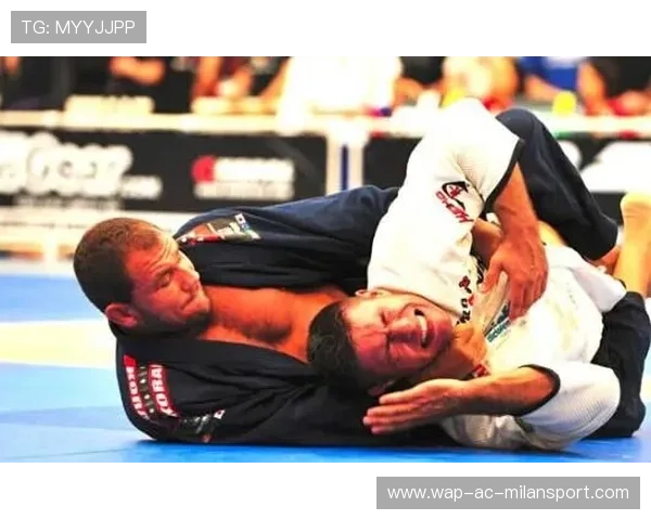 MMA赛事规则优化提升竞技观赏性