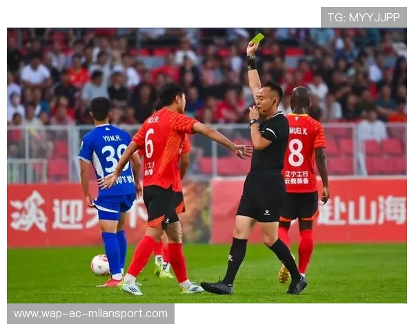 成都蓉城官宣张岩转投辽宁铁人